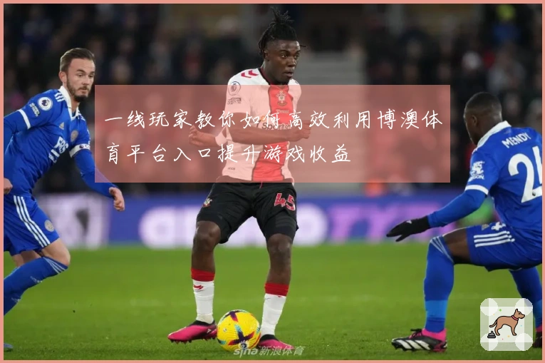 一线玩家教你如何高效利用博澳体育平台入口提升游戏收益