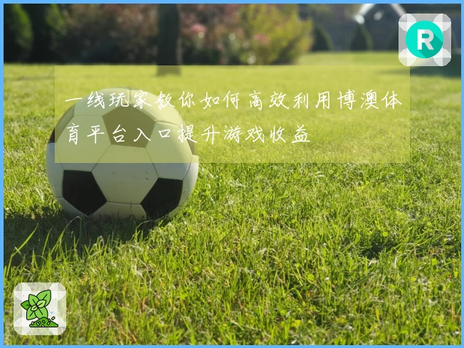 一线玩家教你如何高效利用博澳体育平台入口提升游戏收益